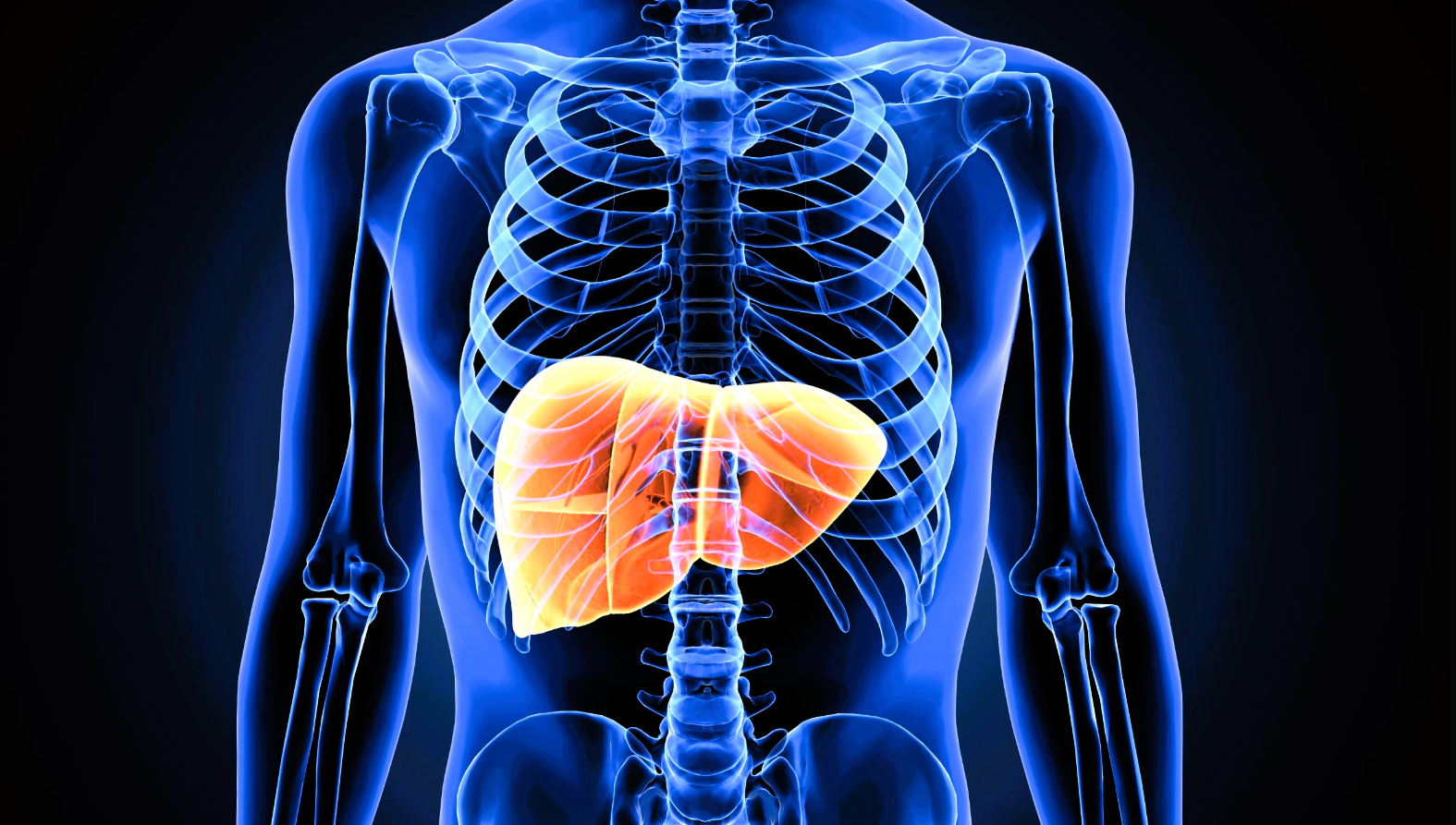 Common Herbal Supplement Linked to Deadly Liver Disease, Study Finds